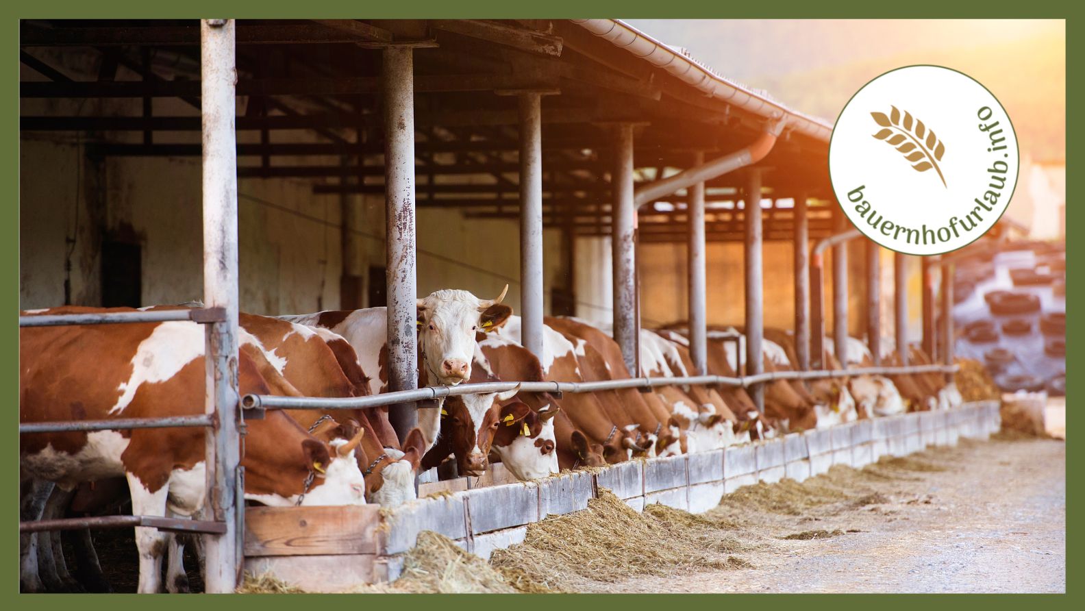 Achtung! Kühe nicht erschrecken - die Milch wird sonst sauer - bauernhofurlaub.info