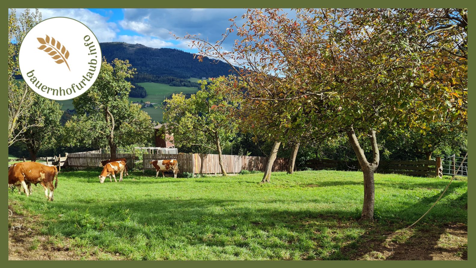 Tre consigli per una vacanza in agriturismo nella regione di Schladming-Dachstein - bauernhofurlaub.info