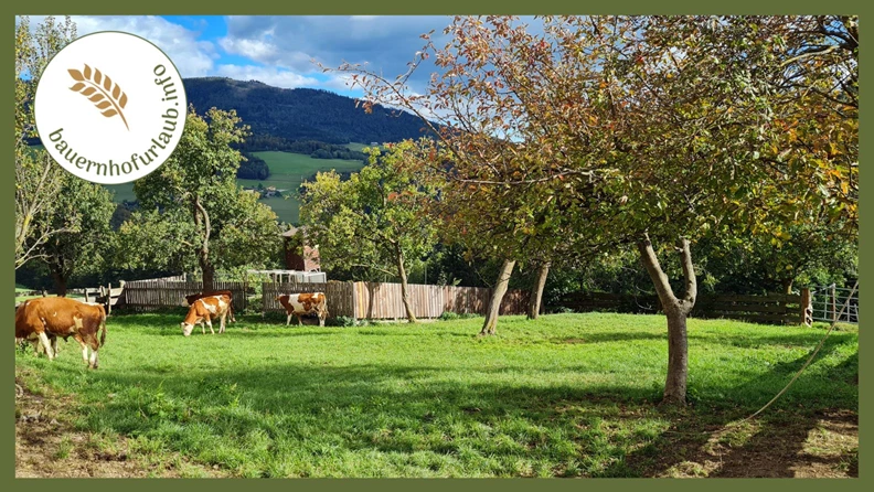 Tri savjeta za odmor na farmi u regiji Schladming-Dachstein - bauernhofurlaub.info