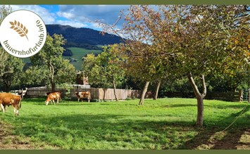 Drei Tipps für Urlaub auf dem Bauernhof für die Region Schladming-Dachstein - bauernhofurlaub.info