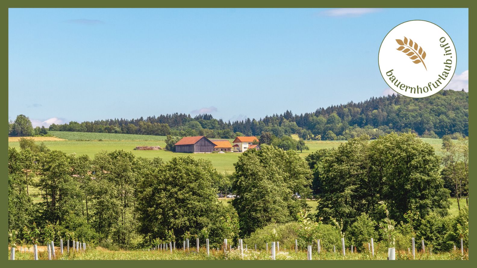 Doživljaj prirode i opuštanje: Nezaboravan odmor na selu u Bavarskoj šumi - bauernhofurlaub.info