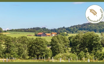 Doživetje narave in sprostitev: Nepozabne počitnice na kmetiji v Bavarskem gozdu - bauernhofurlaub.info