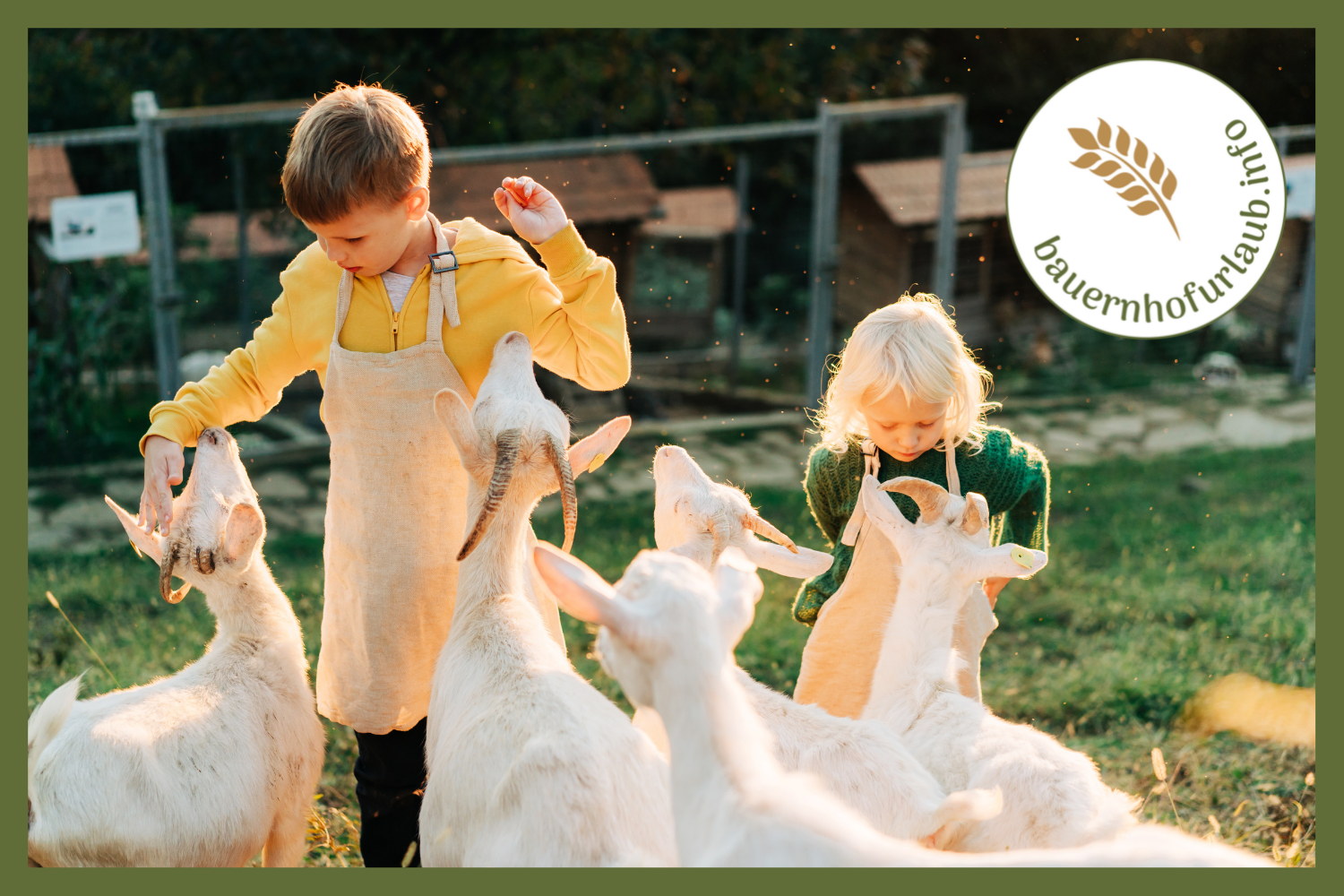 Familienurlaub wo Fuchs und Hase sich gute Nacht sagen - bauernhofurlaub.info