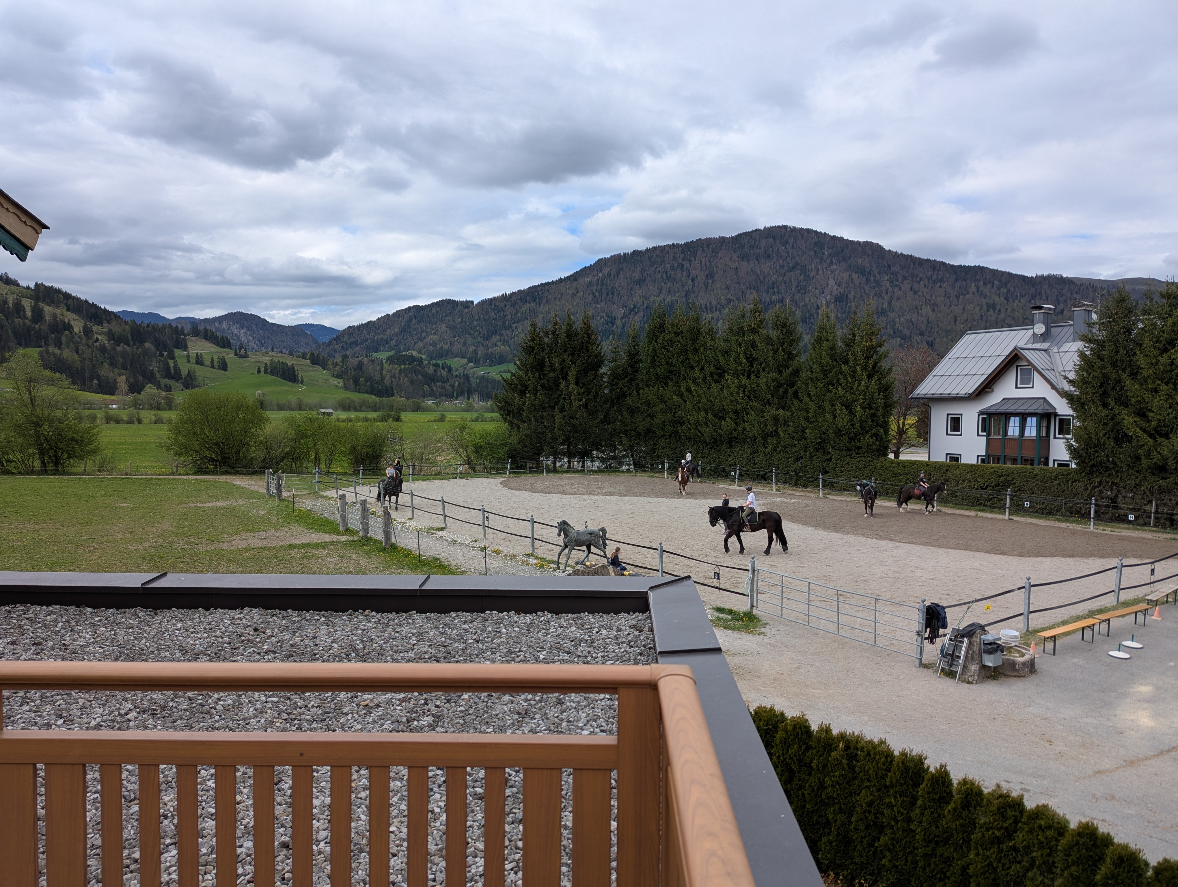 Konji u Familotel Landgut Furtherwirt