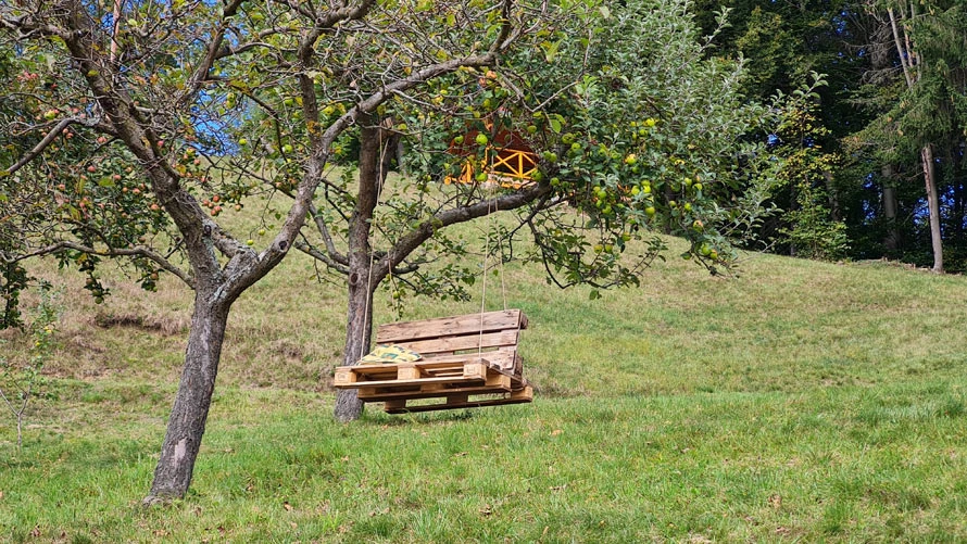 Baumschaukel beim Schusterhans-Hof