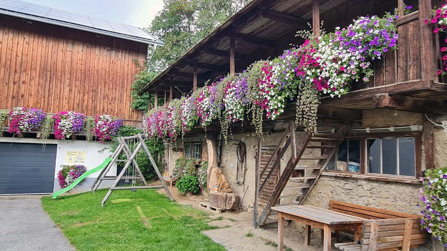 Prachtige bloemen op boerderij Winkler in Semriach