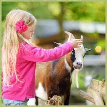 Kind streichelt Ziege