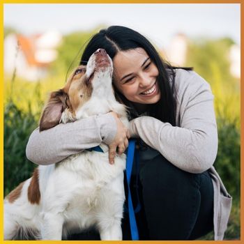 Cani benvenuti in fattoria