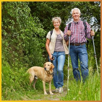 ambiente adatto ai cani