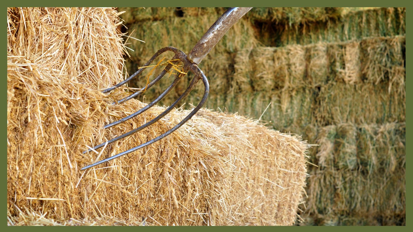 Odmor na farmi u Austriji