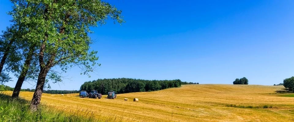 Boerderijvakanties in Mecklenburg-Vorpommern