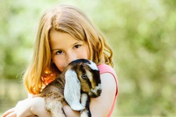 Deklica drži zajčka