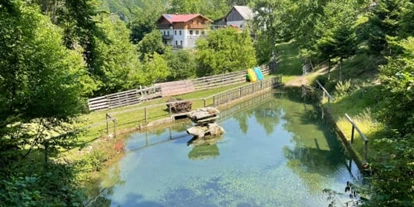 Urlaub auf dem Bauernhof - Art der Landwirtschaft: Tierhaltung - Grünau (Mariazell) - Hofteich mit Gästehaus - Büchlhof 