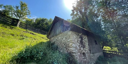Urlaub auf dem Bauernhof - ideal für: Pärchen - Scheibbsbach - Dörrhütte - Büchlhof 