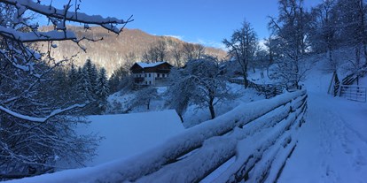 Urlaub auf dem Bauernhof - Terrasse oder Balkon am Zimmer - Dörfl (Oberndorf an der Melk) - Winter - Büchlhof 