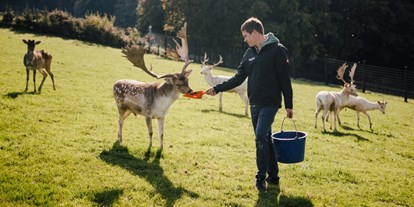 vacation on the farm - Angeln - Austria - Schon mal einen Damhirsch mit der Hand gefüttert?
Bei uns ist das möglich" - Die Hochrieß