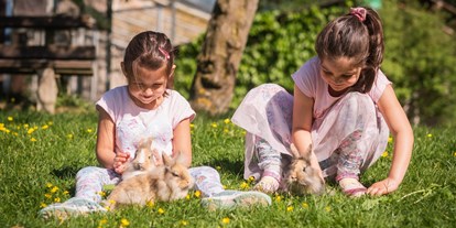 Urlaub auf dem Bauernhof - Jahreszeit: Frühlings-Urlaub - Konradsheim - tägliches Kinderprogramm - Die Hochrieß
