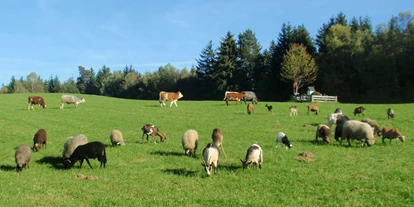 Urlaub auf dem Bauernhof - Mithilfe beim: Tiere füttern - Blons (Arzl im Pitztal) - Wirtshaus Nattererboden