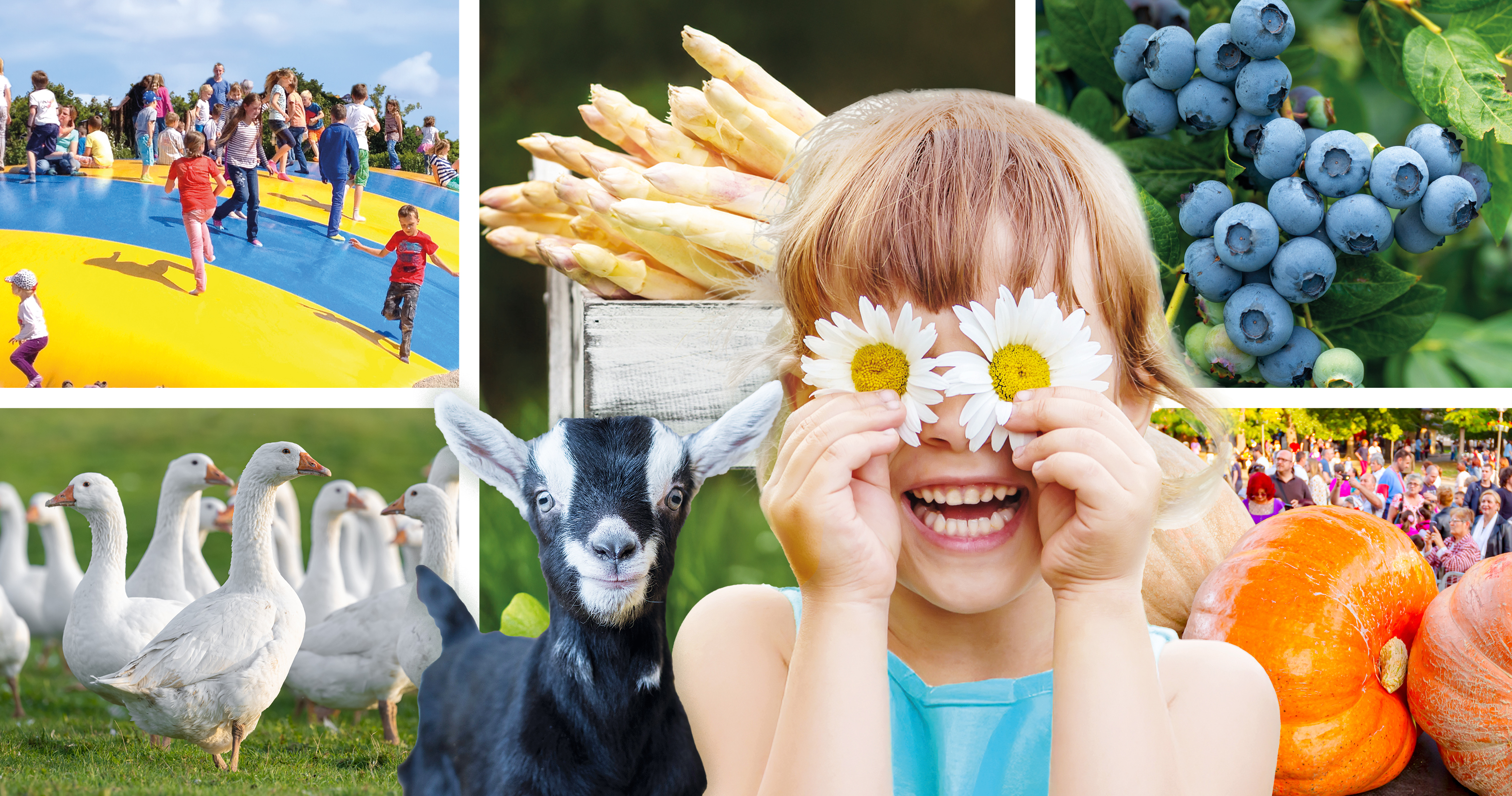 Ferien Bauernhof - Spargelhof Klaistow - Spargel- und Erlebnishof Klaistow