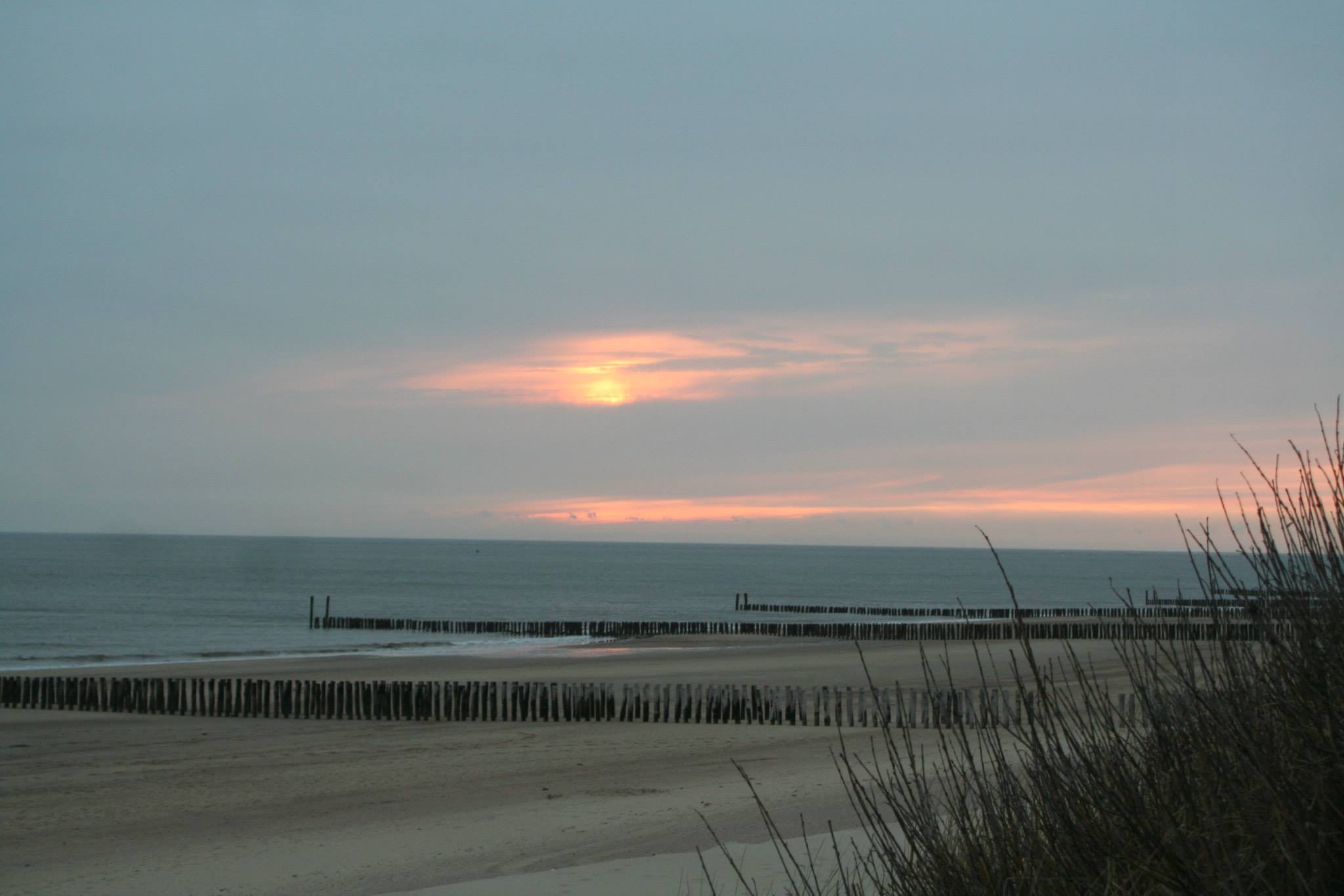 Agriturismo - Strand Zoutelande - minicamping De Visser