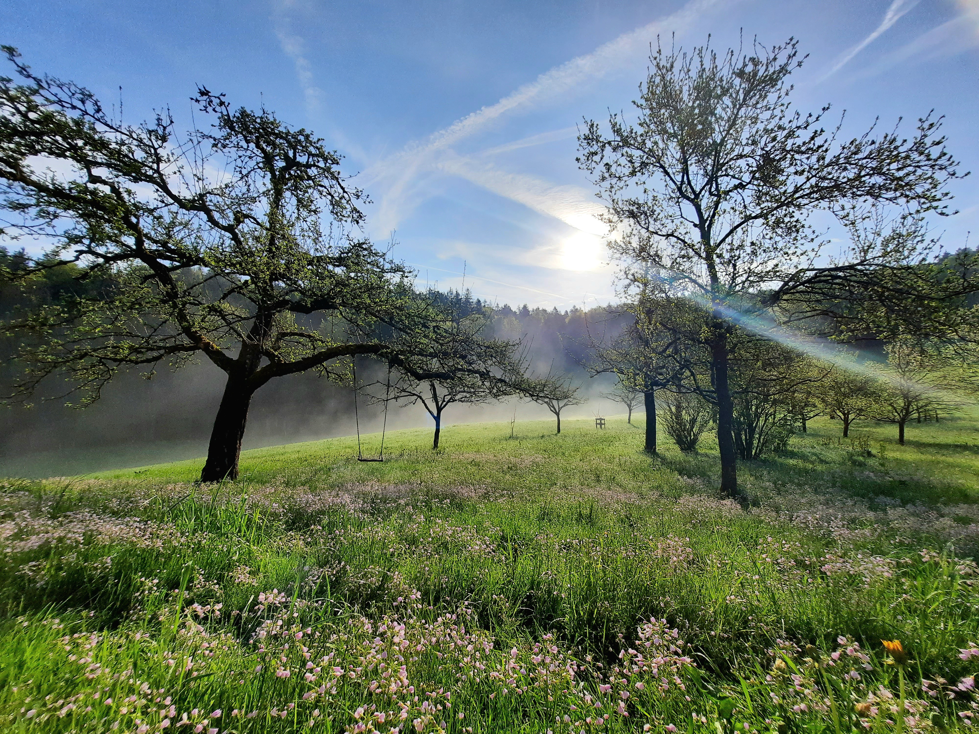 Ferien Bauernhof - Frühling im Obstgarten - Gruberhof
