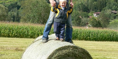 Urlaub auf dem Bauernhof - ideal für: Familien - Hohe Tauern - Bei der Heuernte - Bio-Bauernhof Auernig