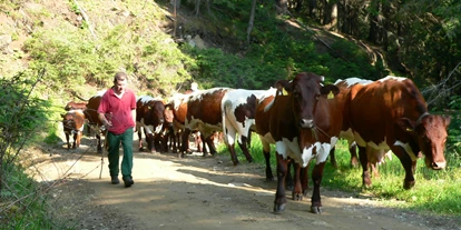 Urlaub auf dem Bauernhof - Stromanschluss: für E-Autos - St. Jakob (Ferndorf) - Almauftrieb mit Kühen - Bio-Bauernhof Auernig