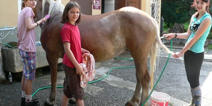 Urlaub auf dem Bauernhof - Mithilfe beim: Tiere pflegen - Unterzmöln - Pferde beim Waschen - Bio-Bauernhof Auernig