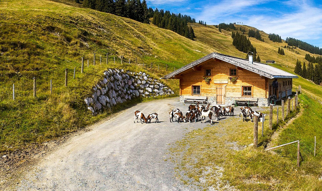 Urlaub auf dem Bauernhof: Hasenaualm