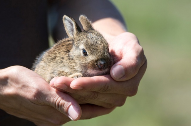 Ferien Bauernhof - Ostern – Schnee trifft Frühling