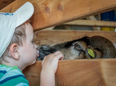 Ferien Bauernhof - Familienzeit –  Raum für Klein und Groß