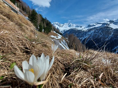 vacanza in fattoria - Klassifizierung Blumen: 3 Blumen - Trentino-Alto Adige - Biohof Kofler
