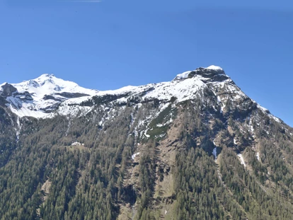 vacanza in fattoria - nachhaltige Landwirtschaft - Unterburg (Kals am Großglockner) - Biohof Kofler