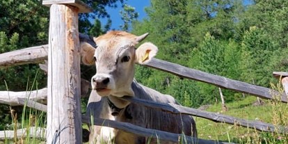 Urlaub auf dem Bauernhof - Mithilfe beim: Melken - Biohof Kofler