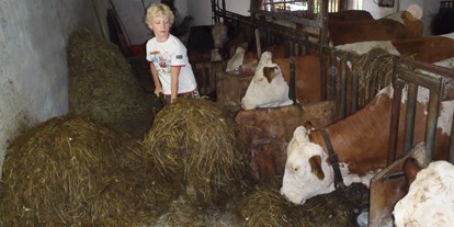 Urlaub auf dem Bauernhof - Tiere am Hof: Kühe - Loich - Bauernhof Waira