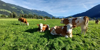Urlaub auf dem Bauernhof - Jahreszeit: Frühlings-Urlaub - Stumm - Brixnerhof im Zillertal