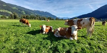 Urlaub auf dem Bauernhof - Stromanschluss: für E-Bikes - Mariatal - Brixnerhof im Zillertal