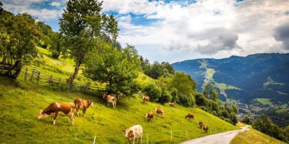 Urlaub auf dem Bauernhof - Tagesausflug möglich - Salzburg - Bio Bauernhof Oberbenk