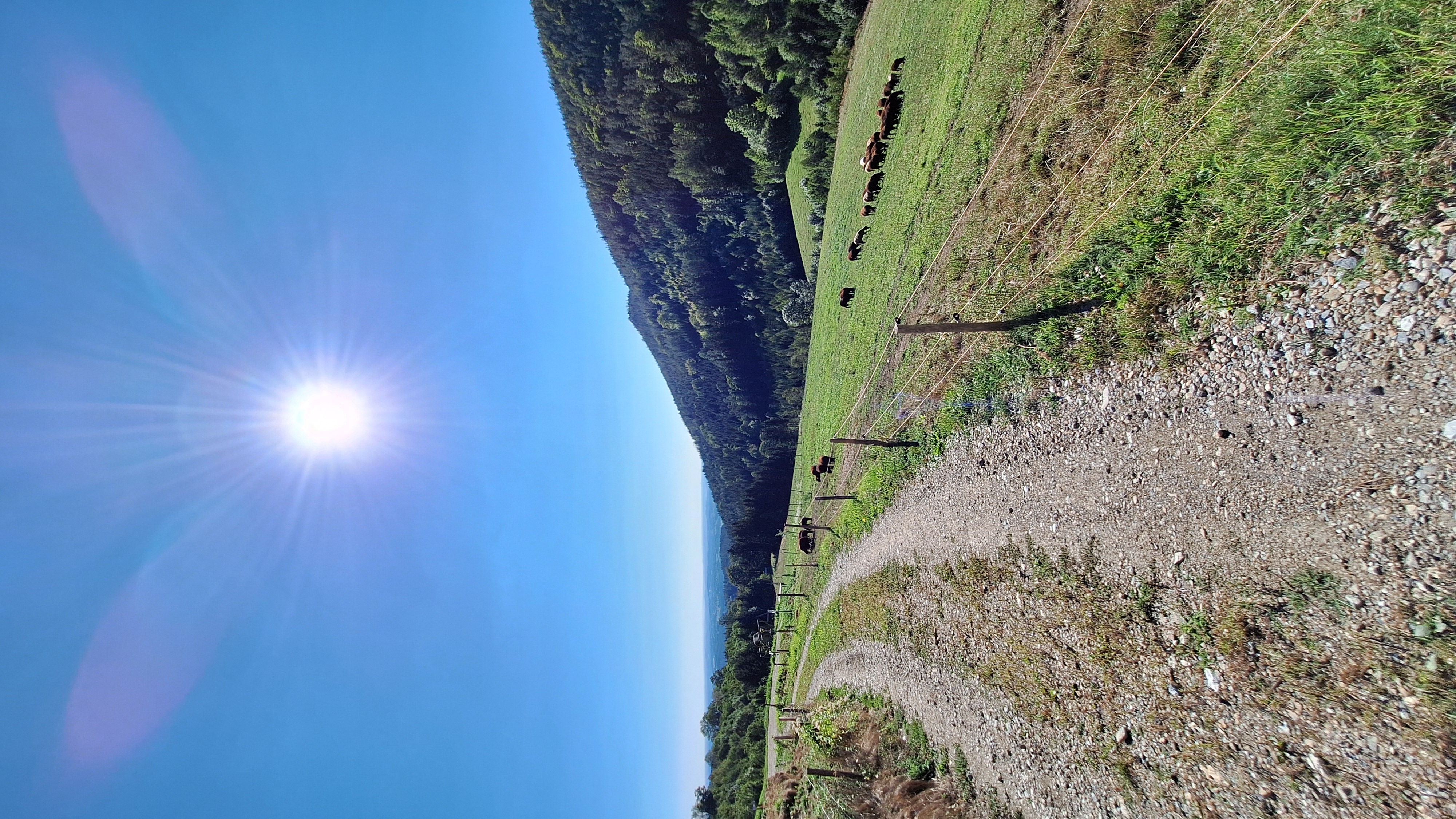 Ferien Bauernhof - GENUSSHofer