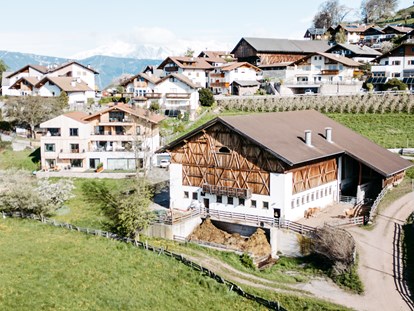 vacation on the farm - Fahrzeuge: Heuwender - Trentino-South Tyrol - Moarhof
