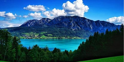 vacation on the farm - Typ des Angebots: Last-Minute-Angebot - Ferienhof Margarethengut am Attersee  Sommer am Attesee