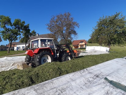 vacation on the farm - Traktor fahren - Styria - Promschhof Ferienhaus