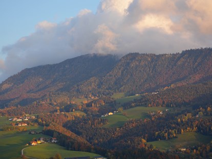 Urlaub auf dem Bauernhof - Art der Landwirtschaft: Forstwirtschaft - Österreich - Promschhof Ferienhaus