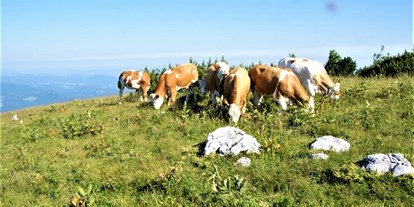 Urlaub auf dem Bauernhof - Art der Landwirtschaft: Tierhaltung - Petra und Albert Zopf/ Feichtingerhof
