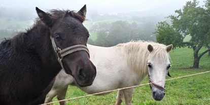 Urlaub auf dem Bauernhof - Fahrzeuge: Balkenmäher - St. Jakob (Ferndorf) - unsere Ponys Anabell und Lilli - Forstnighof