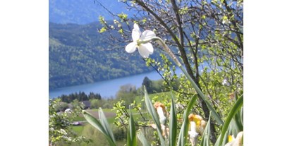 Urlaub auf dem Bauernhof - ideal für: Pärchen - Weißpriach - tolle Aussicht auf den See!  - Forstnighof