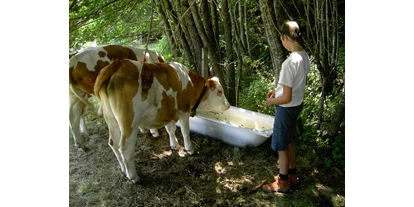 Urlaub auf dem Bauernhof - Tiere am Hof: Kühe - St. Jakob (Ferndorf) - unsere Tiere auf der Alm!  - Forstnighof