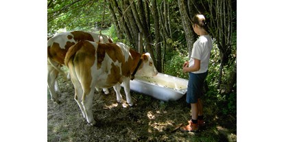 Urlaub auf dem Bauernhof - Tiere am Hof: Kühe - Tamsweg - unsere Tiere auf der Alm!  - Forstnighof