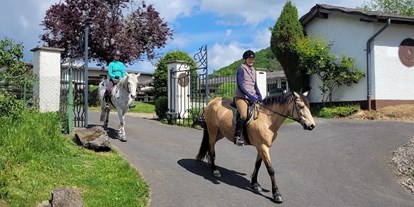 Urlaub auf dem Bauernhof - Tiere am Hof: Ponys - Deutschland - Landgut Pfauenhof