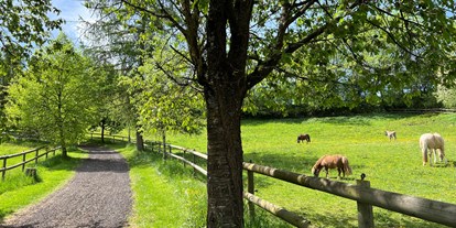 Urlaub auf dem Bauernhof - Tiere am Hof: Pferde - Deutschland - Landgut Pfauenhof
